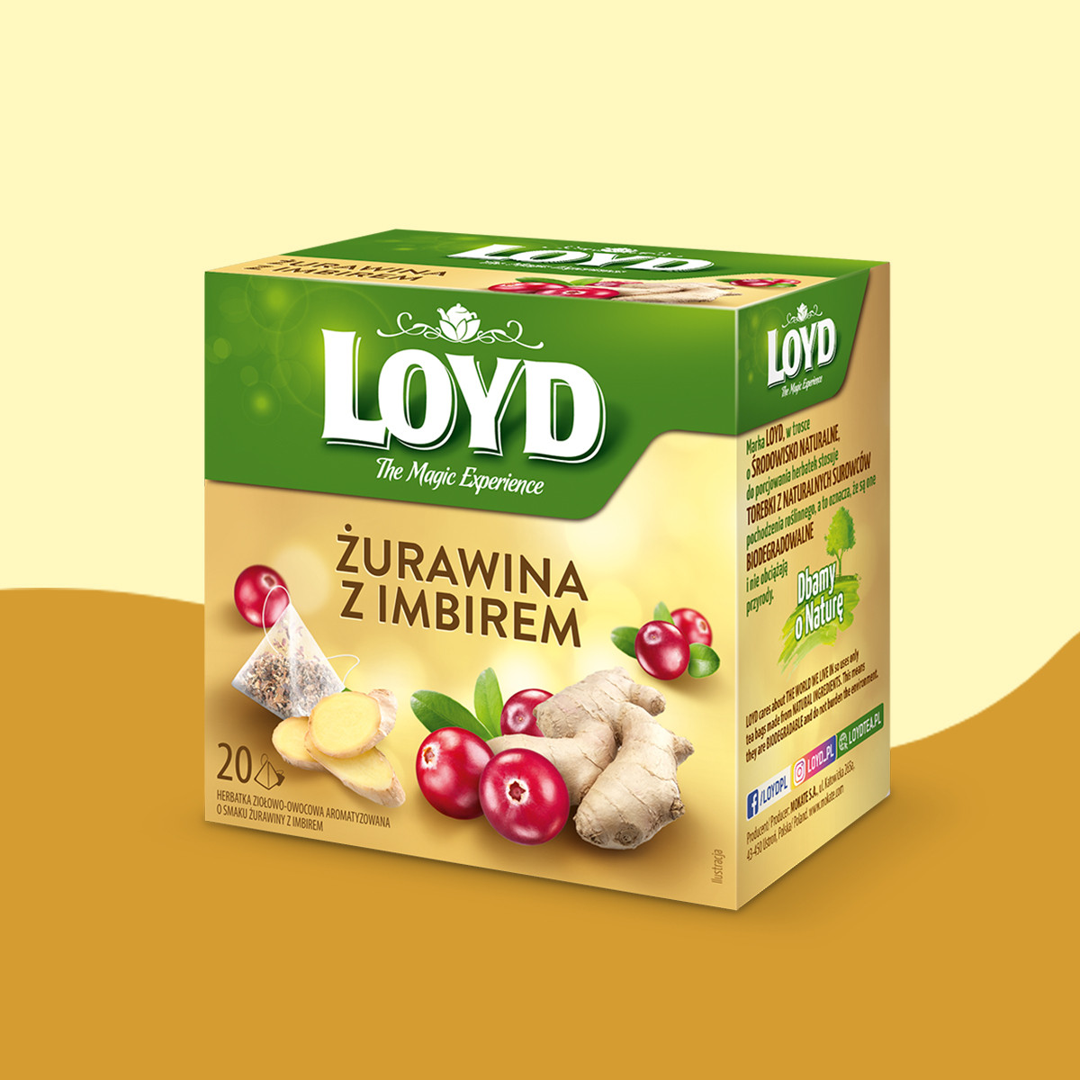 Herbatka owocowa Loyd Żurawina i Imbir 20 torebek