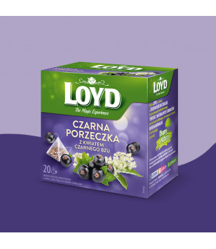 Loyd Blackcurrant and Elderflower Fruit Tea, 20 bags