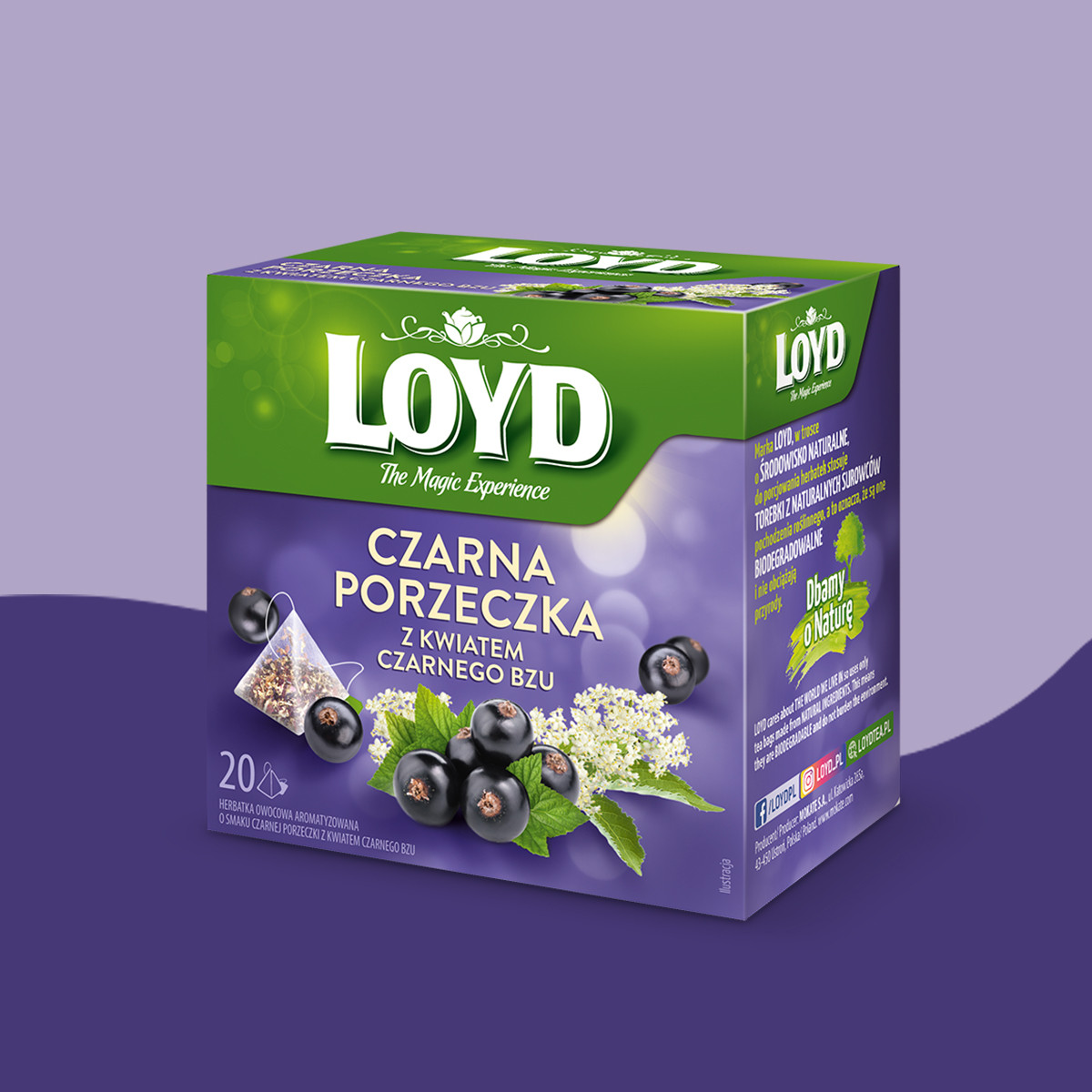 Herbatka owocowa Loyd Czarna Porzeczka i Czarny Bez 20 torebek