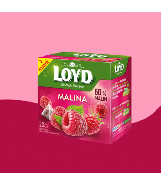 Loyd Raspberry Fruit Tea, 20 bags