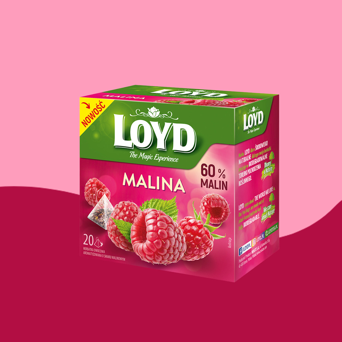 Loyd Raspberry Fruit Tea, 20 bags