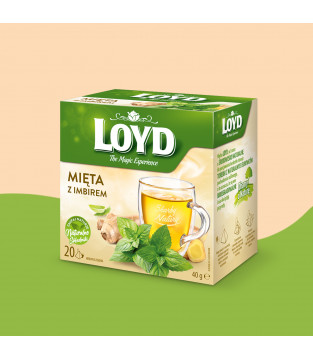 Loyd Mint and Ginger Herbal Tea, 20 bags