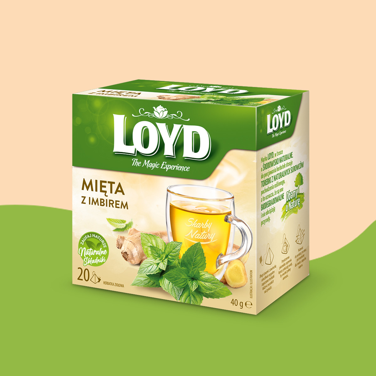 Loyd Mint and Ginger Herbal Tea, 20 bags