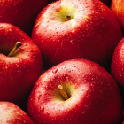 HERBATKA OWOCOWA LOYD JABŁKO Z CYNAMONEM 20 TOREBEK HERBATKA OWOCOWA LOYD JABŁKO Z CYNAMONEM 20 TOREBEK