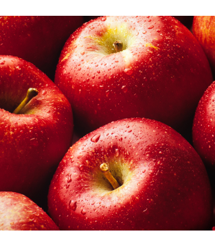 LOYD APPLE AND CINNAMON FRUIT TEA, 20 BAGS