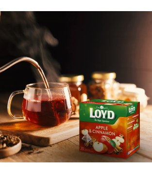 HERBATKA OWOCOWA LOYD JABŁKO Z CYNAMONEM 20 TOREBEK