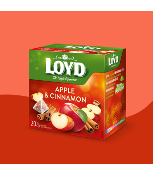 LOYD APPLE AND CINNAMON FRUIT TEA, 20 BAGS