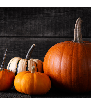 CAPPUCCINO PUMPKIN SPICE 40G