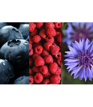 HERBATA CZARNA AROMATYZOWANA SPRING HARMONY 20 SASZETEK