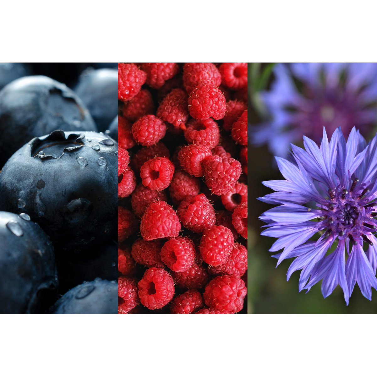 SPRING HARMONY FLAVOURED BLACK TEA – 20 TEABAGS