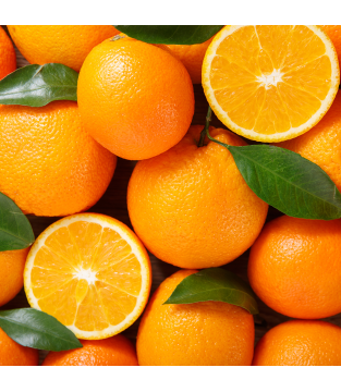 LOYD CITRUS AND GINGER FRUIT TEA, 20 BAGS