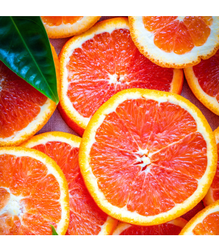 LOYD CITRUS AND GINGER FRUIT TEA, 20 BAGS