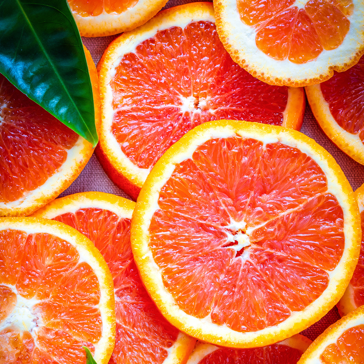 HERBATKA OWOCOWA LOYD CYTRUSY Z IMBIREM 20 TOREBEK