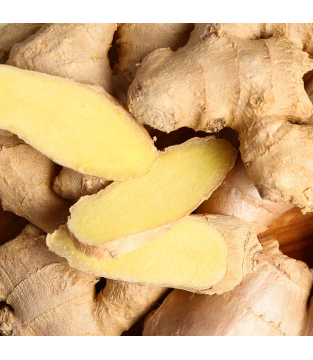 HERBATKA OWOCOWA LOYD CYTRUSY Z IMBIREM 20 TOREBEK