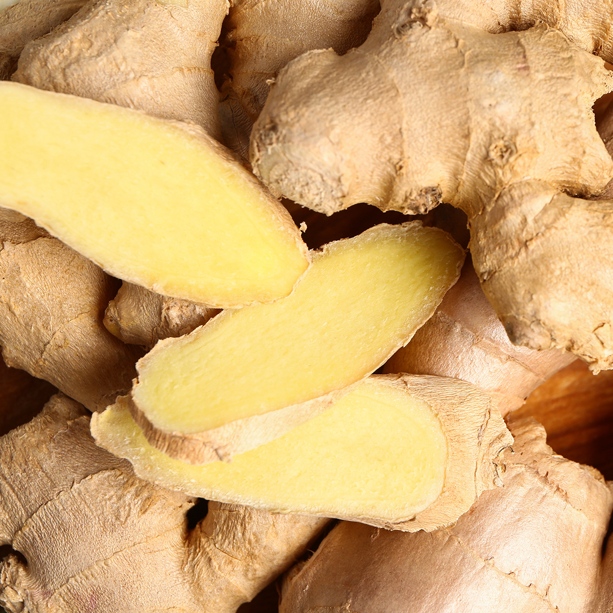 HERBATKA OWOCOWA LOYD CYTRUSY Z IMBIREM 20 TOREBEK