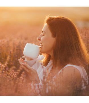 HERBATKA OWOCOWA LOYD CYTRUSY Z IMBIREM 20 TOREBEK