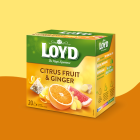 HERBATKA OWOCOWA LOYD CYTRUSY Z IMBIREM 20 TOREBEK HERBATKA OWOCOWA LOYD CYTRUSY Z IMBIREM 20 TOREBEK