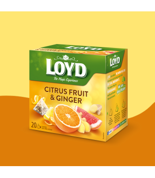 LOYD CITRUS AND GINGER FRUIT TEA, 20 BAGS