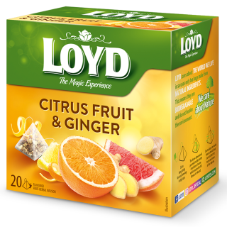 HERBATKA OWOCOWA LOYD CYTRUSY Z IMBIREM 20 TOREBEK