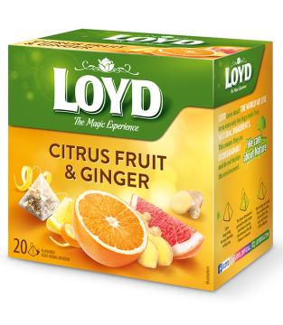 LOYD CITRUS AND GINGER FRUIT TEA, 20 BAGS