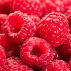 NAPÓJ O SMAKU BIAŁEJ CZEKOLADY Z MALINAMI 40G PINK