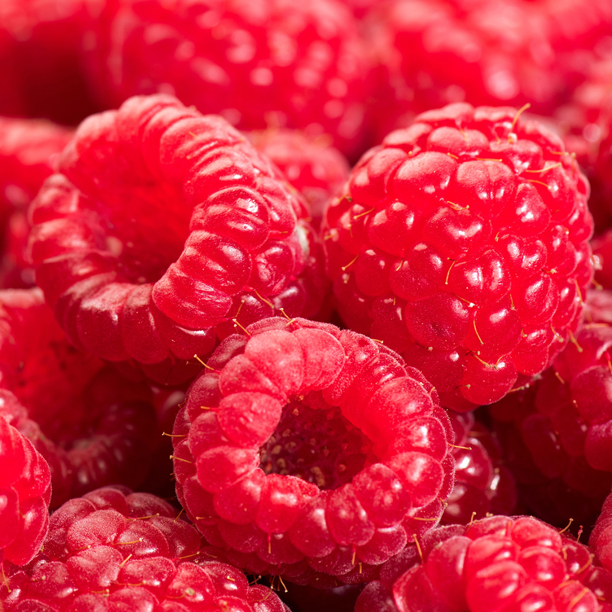 NAPÓJ O SMAKU BIAŁEJ CZEKOLADY Z MALINAMI 40G PINK