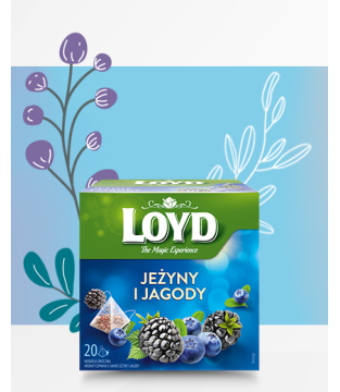 Loyd Blueberry and Blackberry Fruit Tea, 20 bags