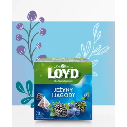 Loyd Blueberry and Blackberry Fruit Tea, 20 bags