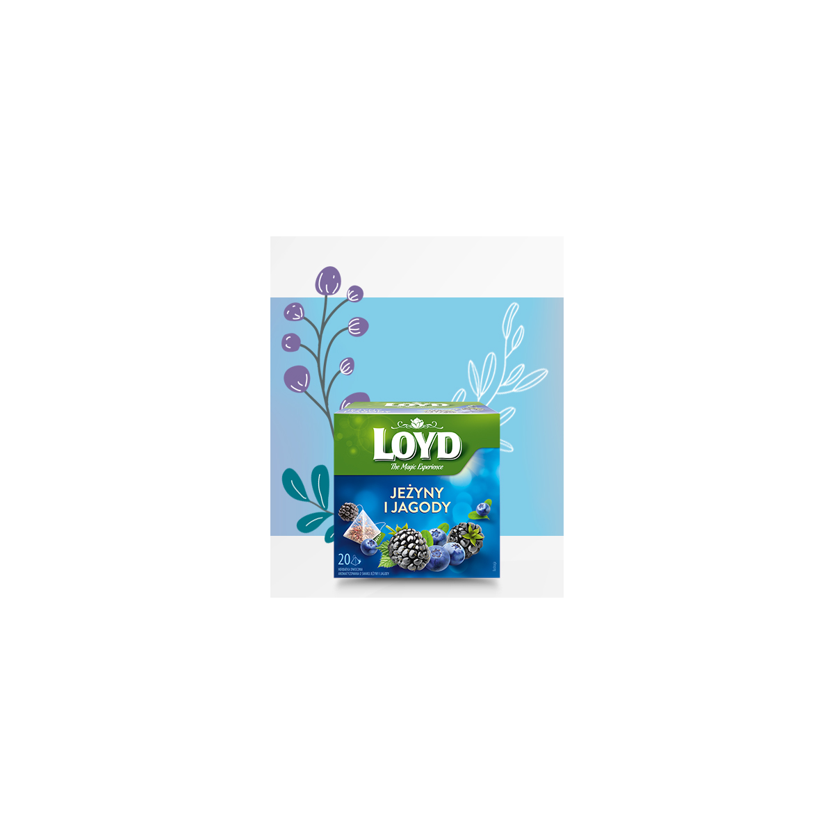 Loyd Blueberry and Blackberry Fruit Tea, 20 bags