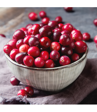 Dobra Kaloria Mini Bars – Immunity Bars with Cranberry, Acerola and Vitamins C+E