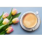 Zestaw Na Prezent Kawa Cappuccino Mokate Napój Kawowy Mix 12 Smaków 24szt