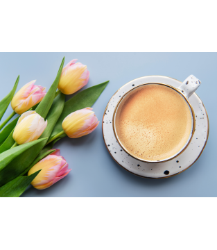 Zestaw Na Prezent Kawa Cappuccino Mokate Napój Kawowy Mix 12 Smaków 24szt