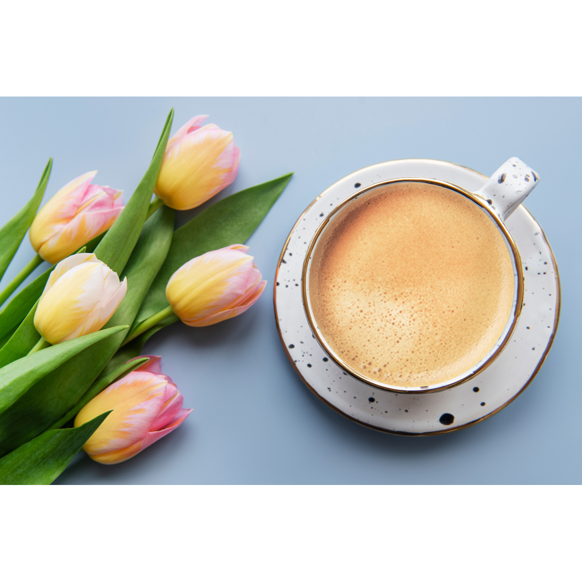 Zestaw Na Prezent Kawa Cappuccino Mokate Napój Kawowy Mix 12 Smaków 24szt