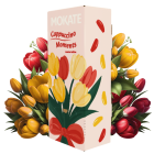 Zestaw Na Prezent Kawa Cappuccino Mokate Napój Kawowy Mix 12 Smaków 24szt