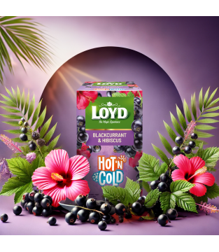 HER.HOT&COLD BLACCURRANT&HIBIS (2Gx15)*8