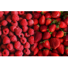 HERBATKA OWOCOWA HOT&COLD MALINA & TRUSKAWKA 2Gx15