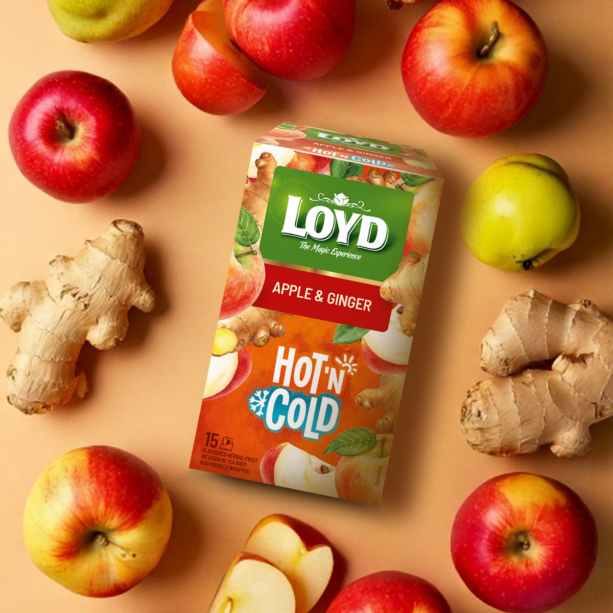 HERBATKA OWOCOWA HOT&COLD JABŁKO I IMBIR 2Gx15