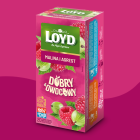 HERBATKA DOBRY OWOCOWY MALINA & AGREST 20x2,5g