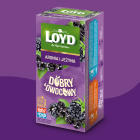 HERBATKA DOBRY OWOCOWY ARONIA & JEŻYNA 20x2,5g