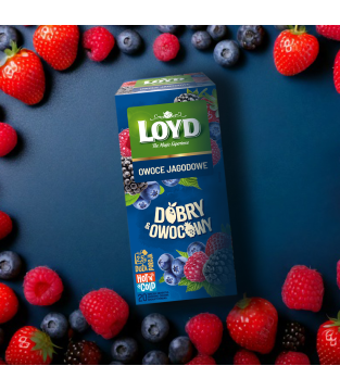 HER.D.OWOC.OW.JAGOD.(20x2,5g)*14 C24_PL