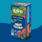 HERBATKA DOBRY OWOCOWY OWOCE JAGODOWE 20x2,5g