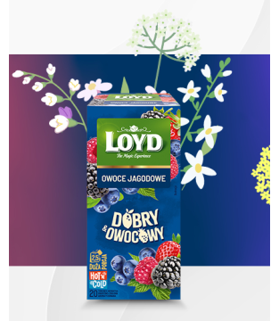 HER.D.OWOC.OW.JAGOD.(20x2,5g)*14 C24_PL