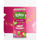 HERBATKA DOBRY OWOCOWY MALINA & AGREST 20x2,5g