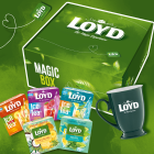 Limitowany zestaw herbaciany Magic BOX LOYD Mojito Pina Colada Limitowany zestaw herbaciany Magic BOX LOYD Mojito Pina Colada