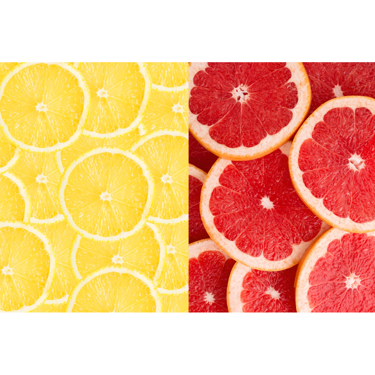 Fresh Lemonade Mixed Flavours Pack – 3x3