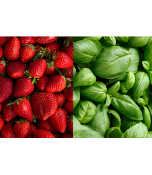 Zestaw Mix Smaków Lemoniada Fresh - 3x3