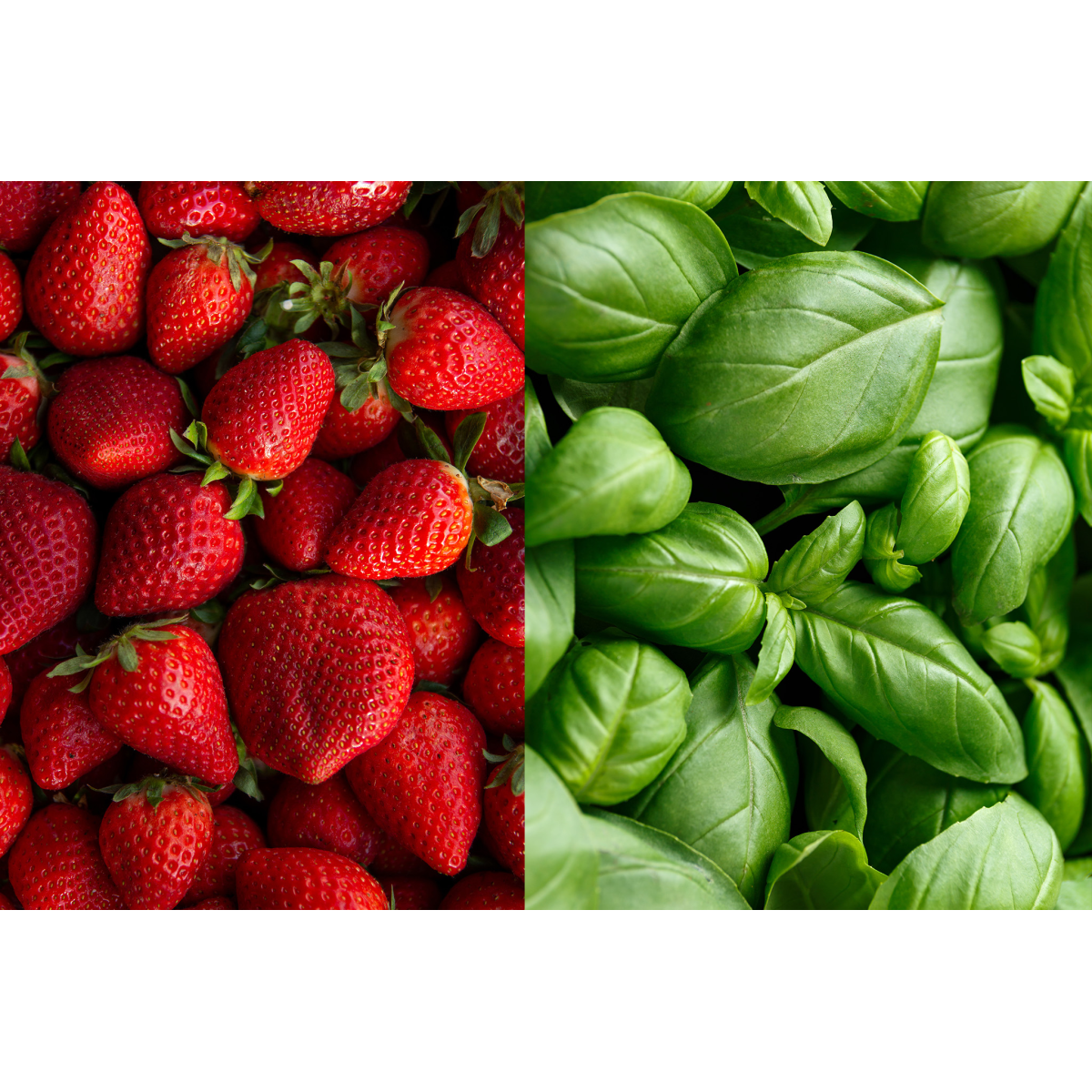 Fresh Lemonade Mixed Flavours Pack – 3x3