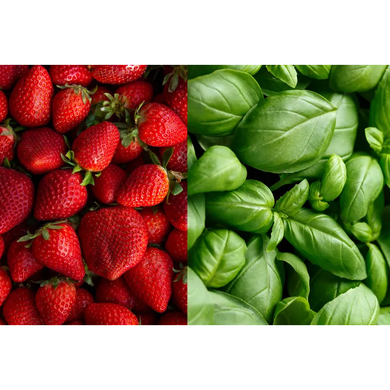 Zestaw Mix Smaków Lemoniada Fresh - 3x3