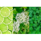 Lemoniada Party - 4 smaki Mix 4x4 W zestawie taniej