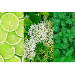 Lemonade Party – 4 Flavours Mix 4x4 – Save when you buy the set